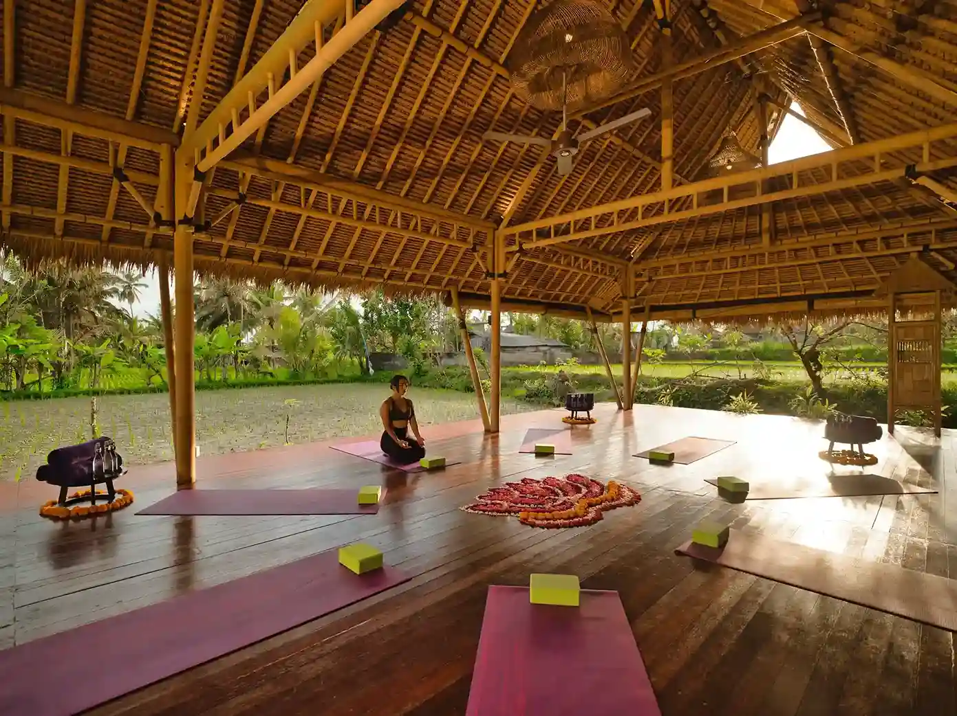 Nandini Jungle By Hanging Gardens